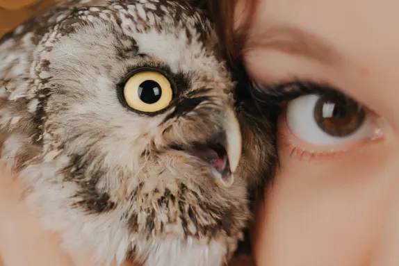 カジノ ロコ ウィン サポート